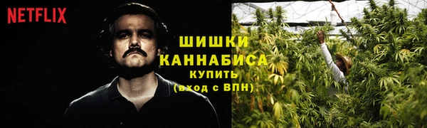 шишки Пестово