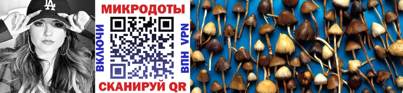 Галлюциногенные грибы Psilocybe Щёкино