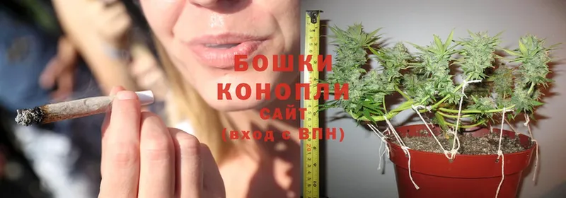 Марихуана White Widow  что такое   Щёкино 